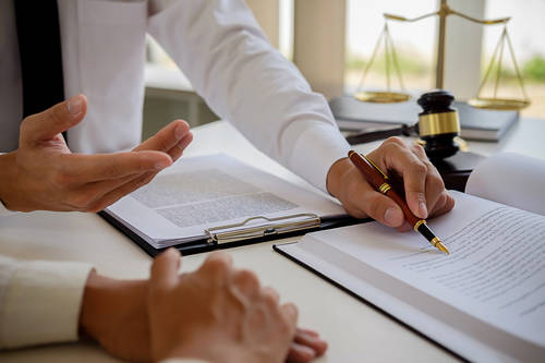 Litigation Support and Expert Witness Services